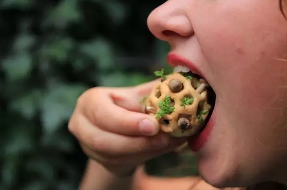 甜甜圈、巧克力、胡萝卜……没有荷兰人，我们或许就吃不到了