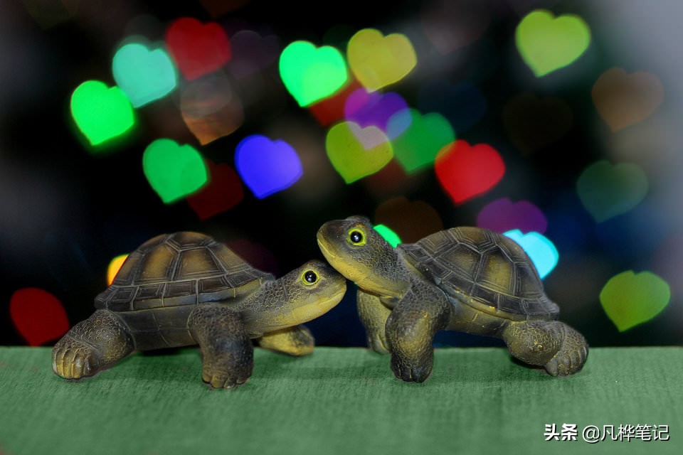 学习摄影知识入门看哪本书,摄影基础知识光圈