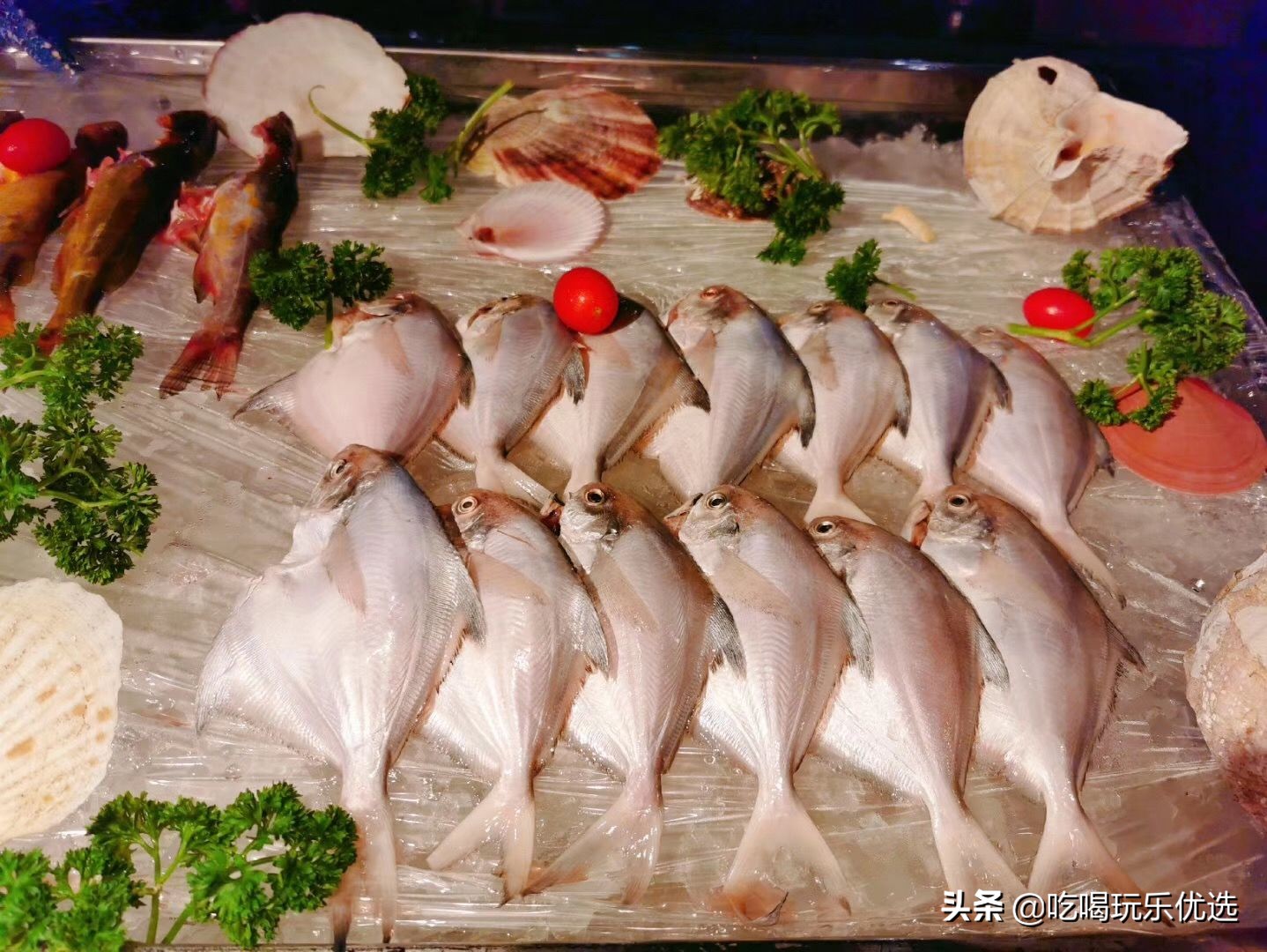 茂名温德姆至尊酒店自助晚餐,深圳温德姆至尊日餐厅