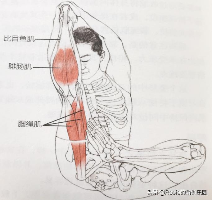 女生怎么练改善斜方肌,斜方肌练大了