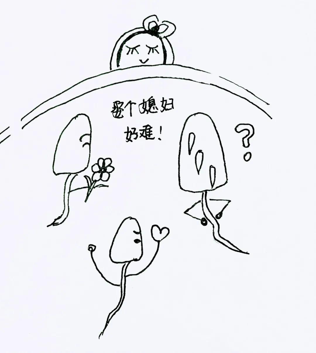 生了个不争气儿子怎么办,婆婆说生不出儿子