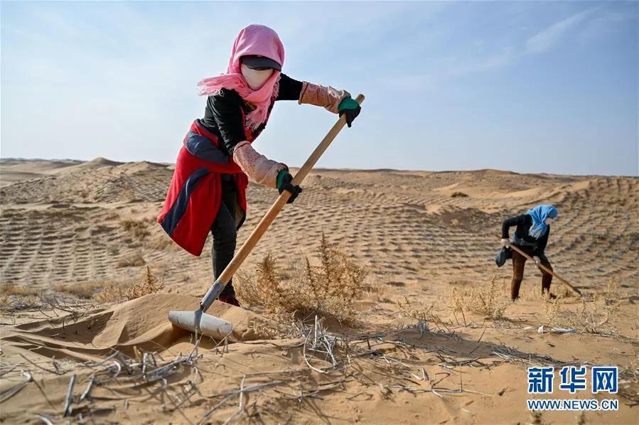 既治病又养生不上火,既治感冒又治鼻炎