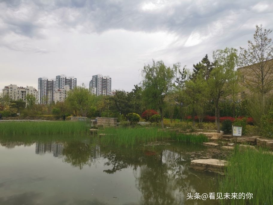 烟台开发区福莱山公园最新消息,烟台开发区福莱山公园喷泉时间