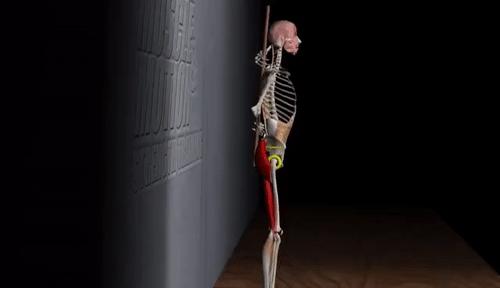 提高睾酮的一个动作,增强睾酮的健身方法