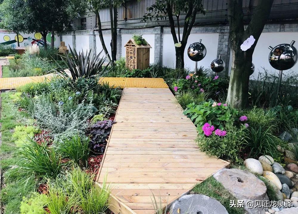 龙泉驿重点小学排名前五,恭喜校队队员入选重点学校