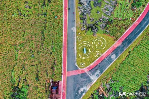 重庆这片花海你还没有来打开，那你就输了