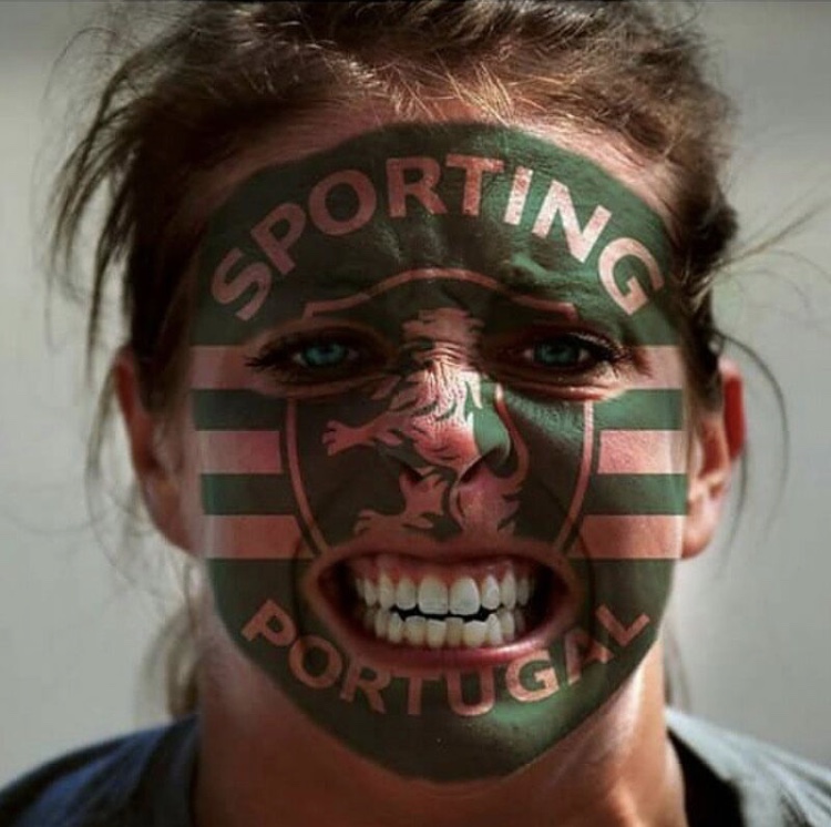 c罗足球生涯介绍,足球c罗的传奇之路