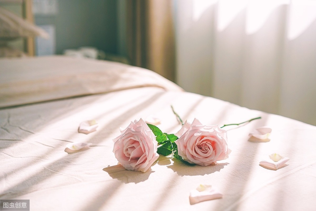 办理文化经营许可证场地条件,网络文化经营许可证申请条件