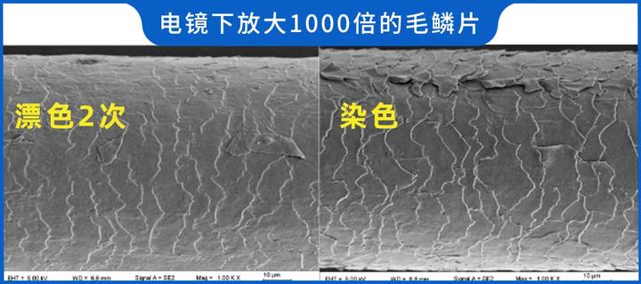 染发剂有害成分做了深度测评,染发剂是否致癌的文章