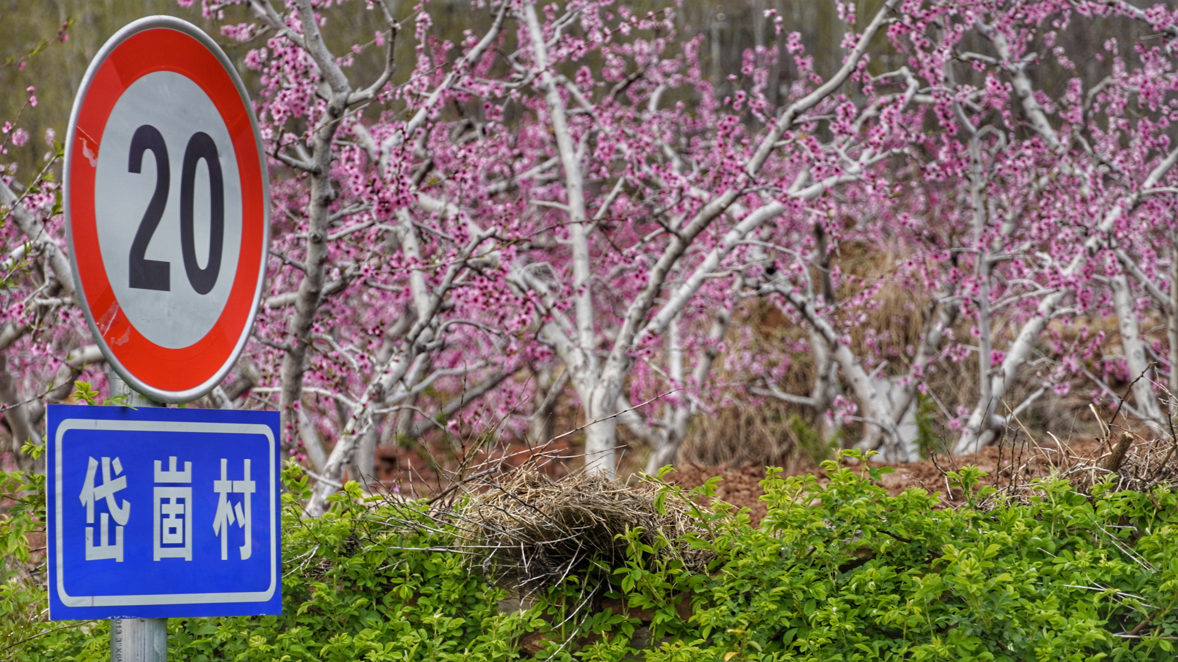 岱崮地貌只有沂蒙山区有吗,沂蒙山世界地质公园岱崮园区