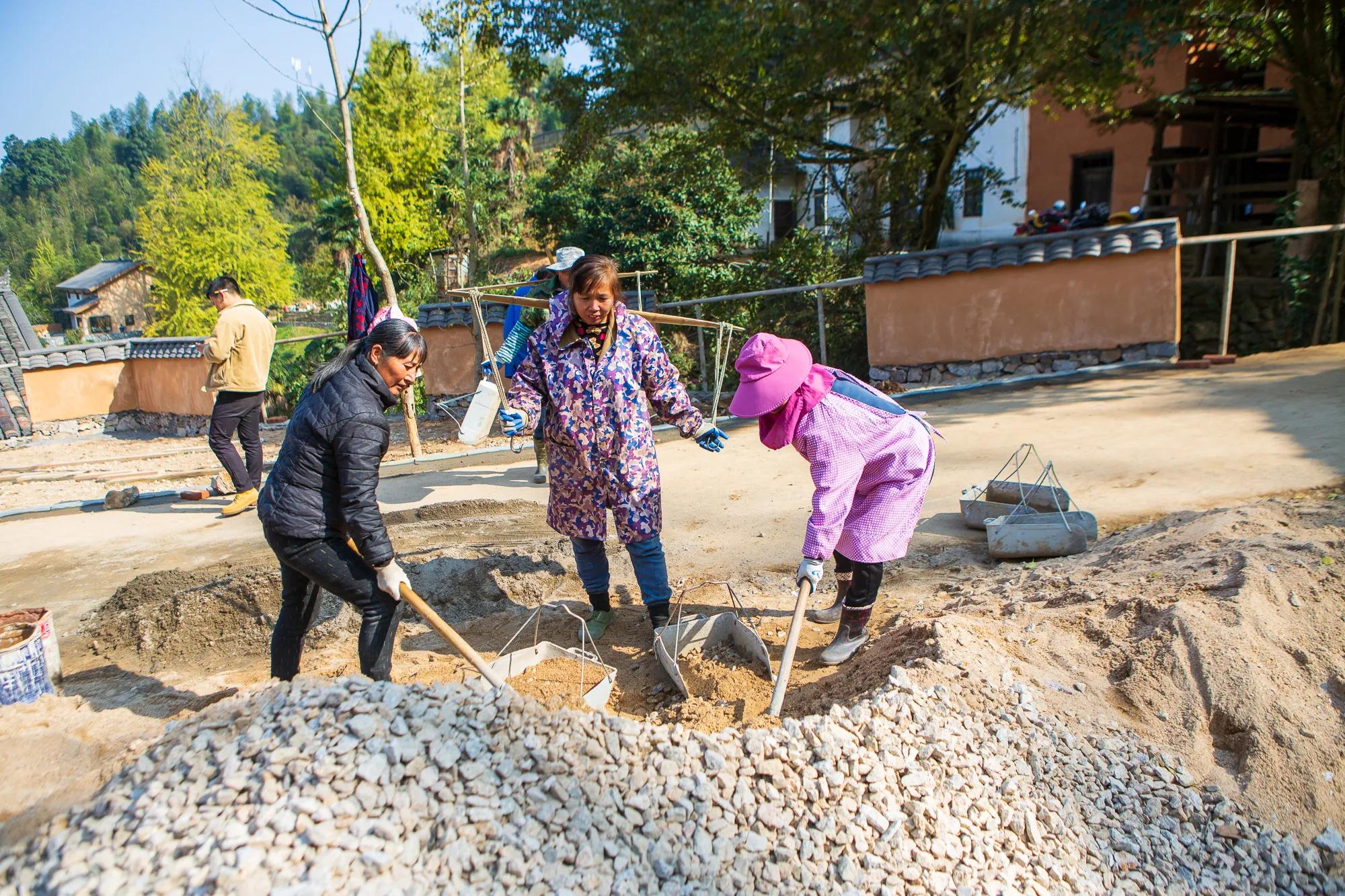 高岭古村银杏,高岭乡高岭村