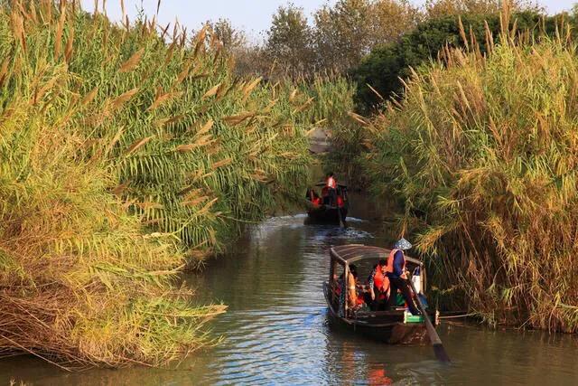 江苏的23个5a景区是哪些,江苏值得去的5a景区