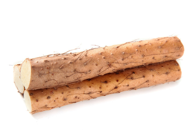 白术神曲党参功效,人参党参黄芪熟地山药的功效