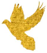 圣诞来袭|瑞拉偷偷告诉你立马脱单、拯救直男最有效的办法!