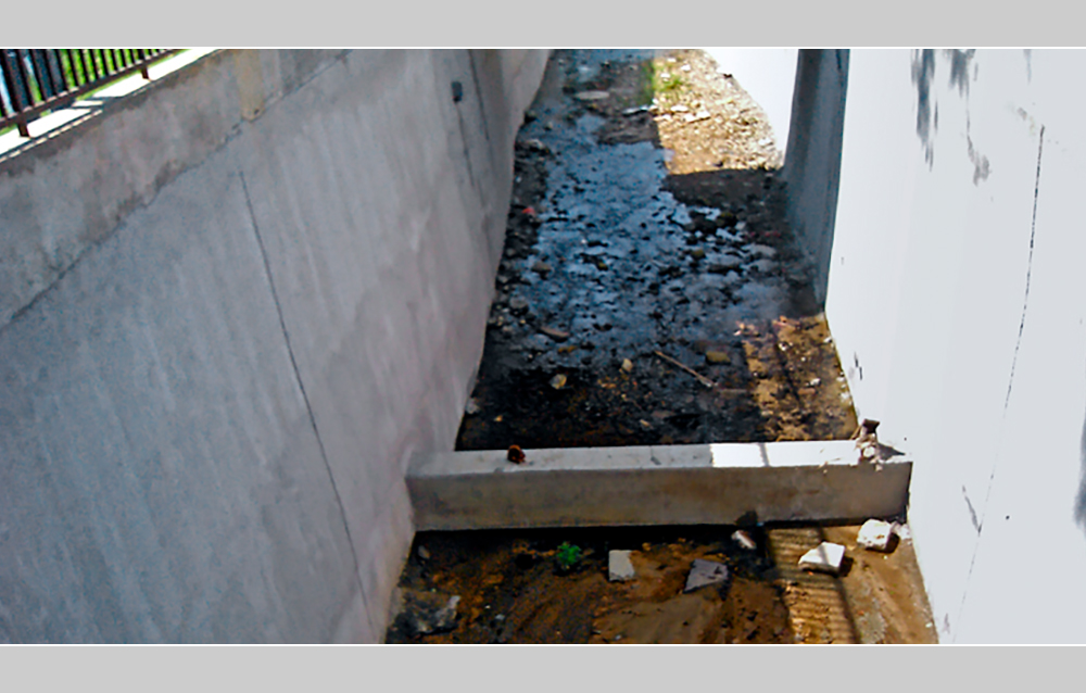 摄影飞行素材,飞鼠摄影作品欣赏