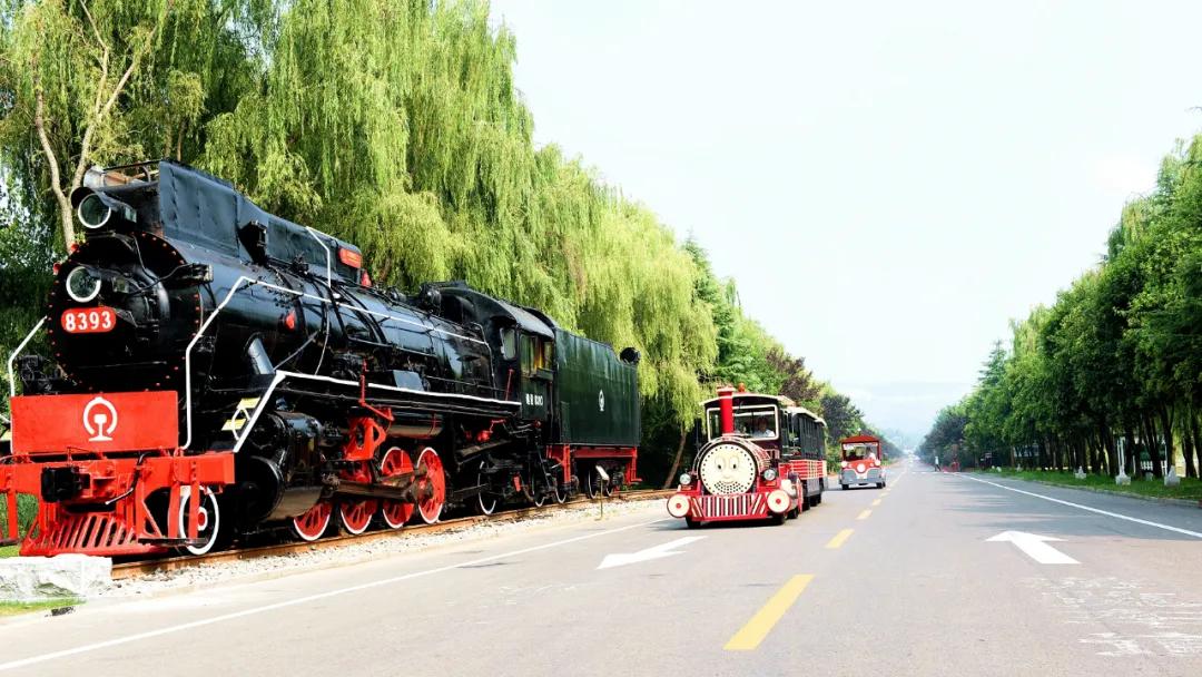 游玩赏荷花景点推荐,国家4a级景区荷花花海介绍