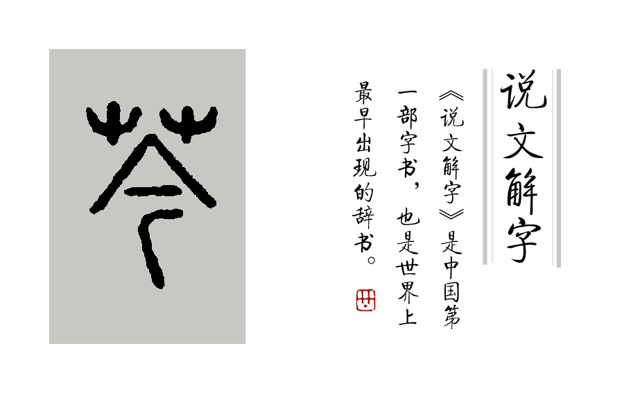 《说文解字》第65课：这味著名中药不同状态药性不同，名字也不同