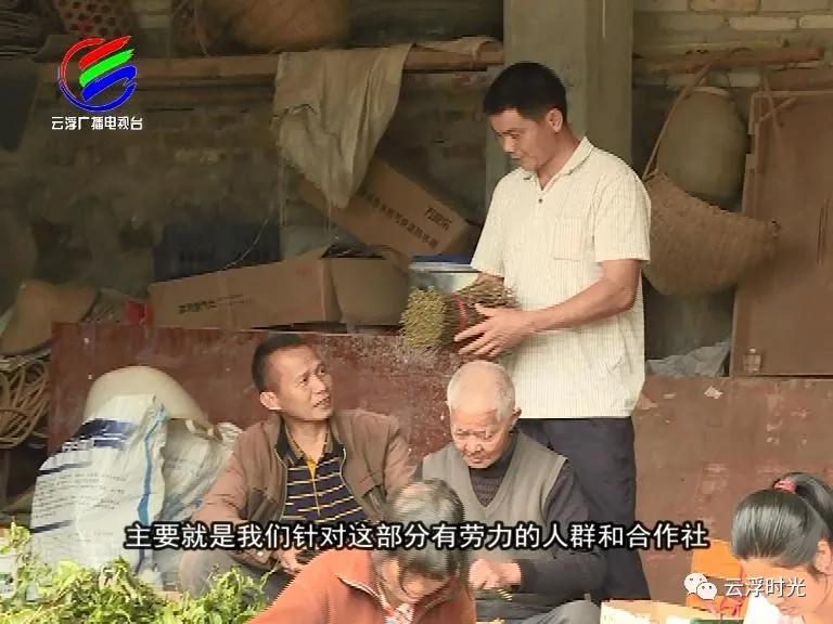 郁南振兴乡村项目,郁南县乡村振兴视频