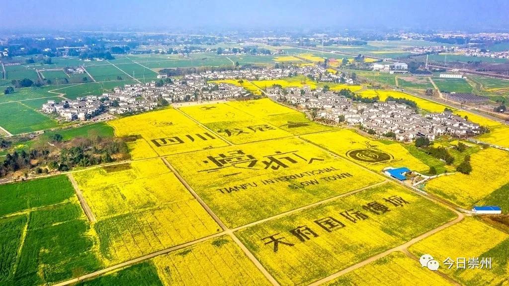 湿地公园天府国际慢城,天府国际慢城印象