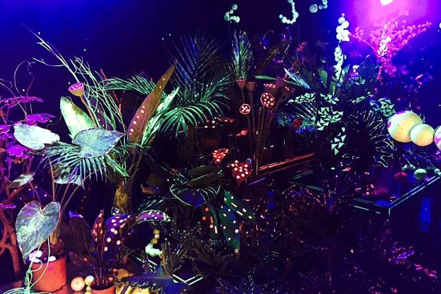 杨澜专访张艾嘉,杨澜采访张艾嘉