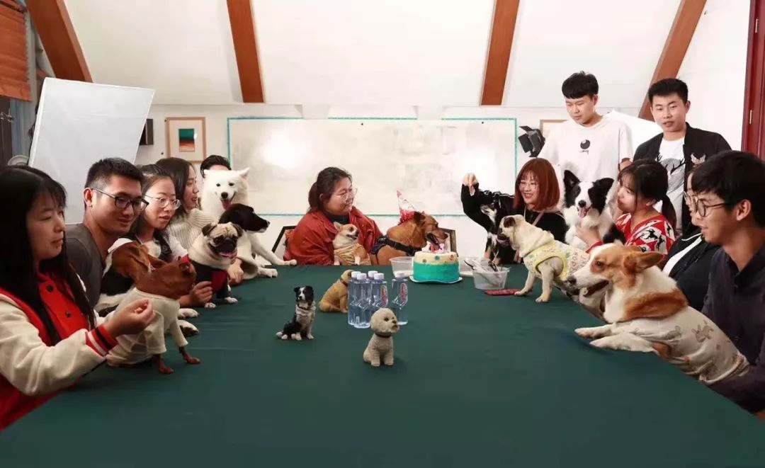 开宠物食品店创业,70后老板开店