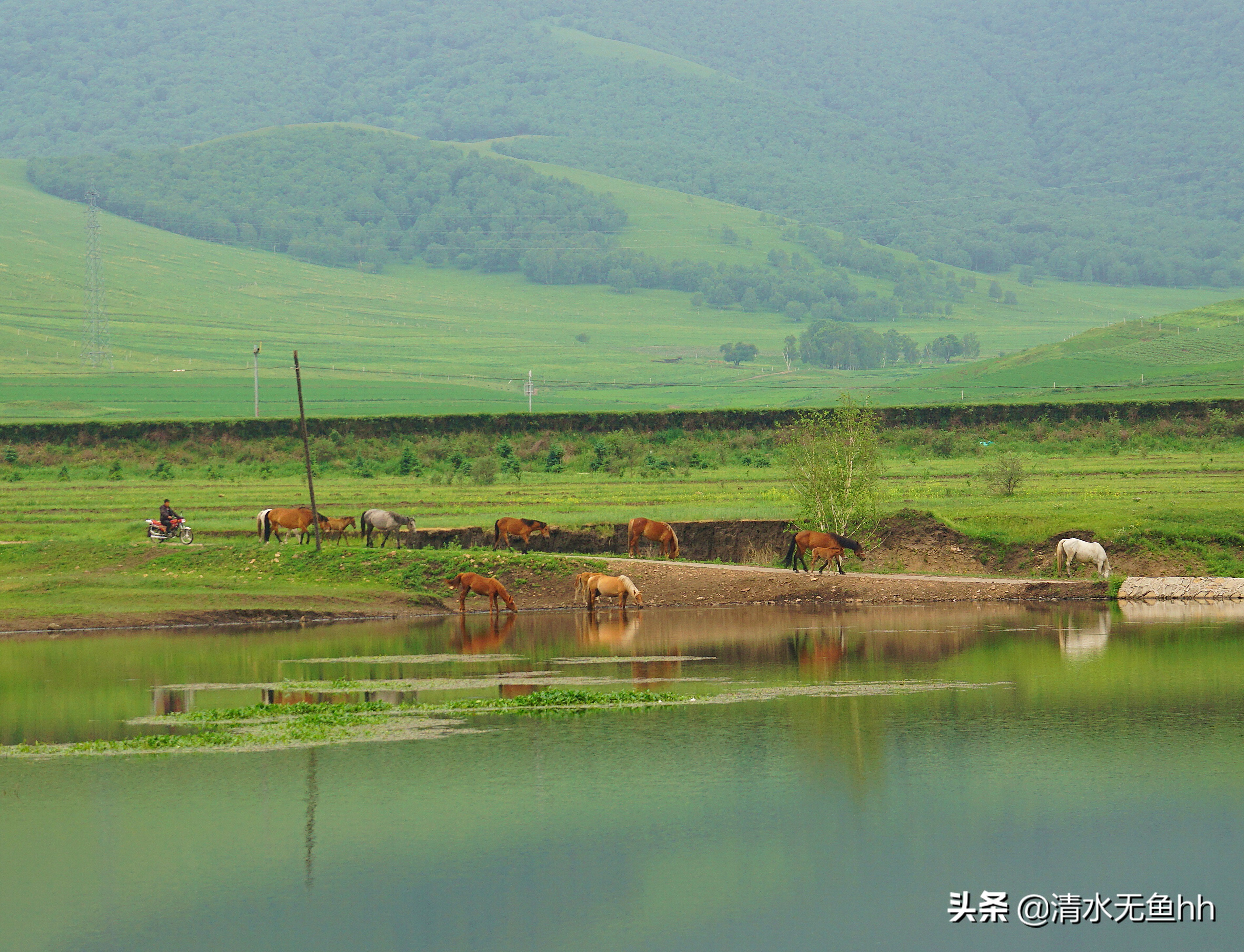 京北第一天路草原最全攻略,京北第一天路自驾攻略