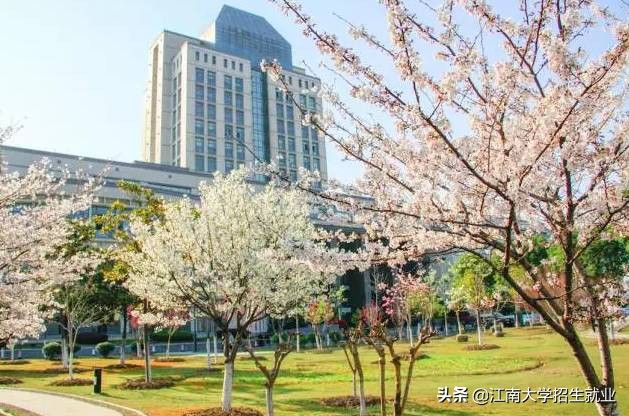 江苏占地最大的大学,占地面积超过8000亩的大学