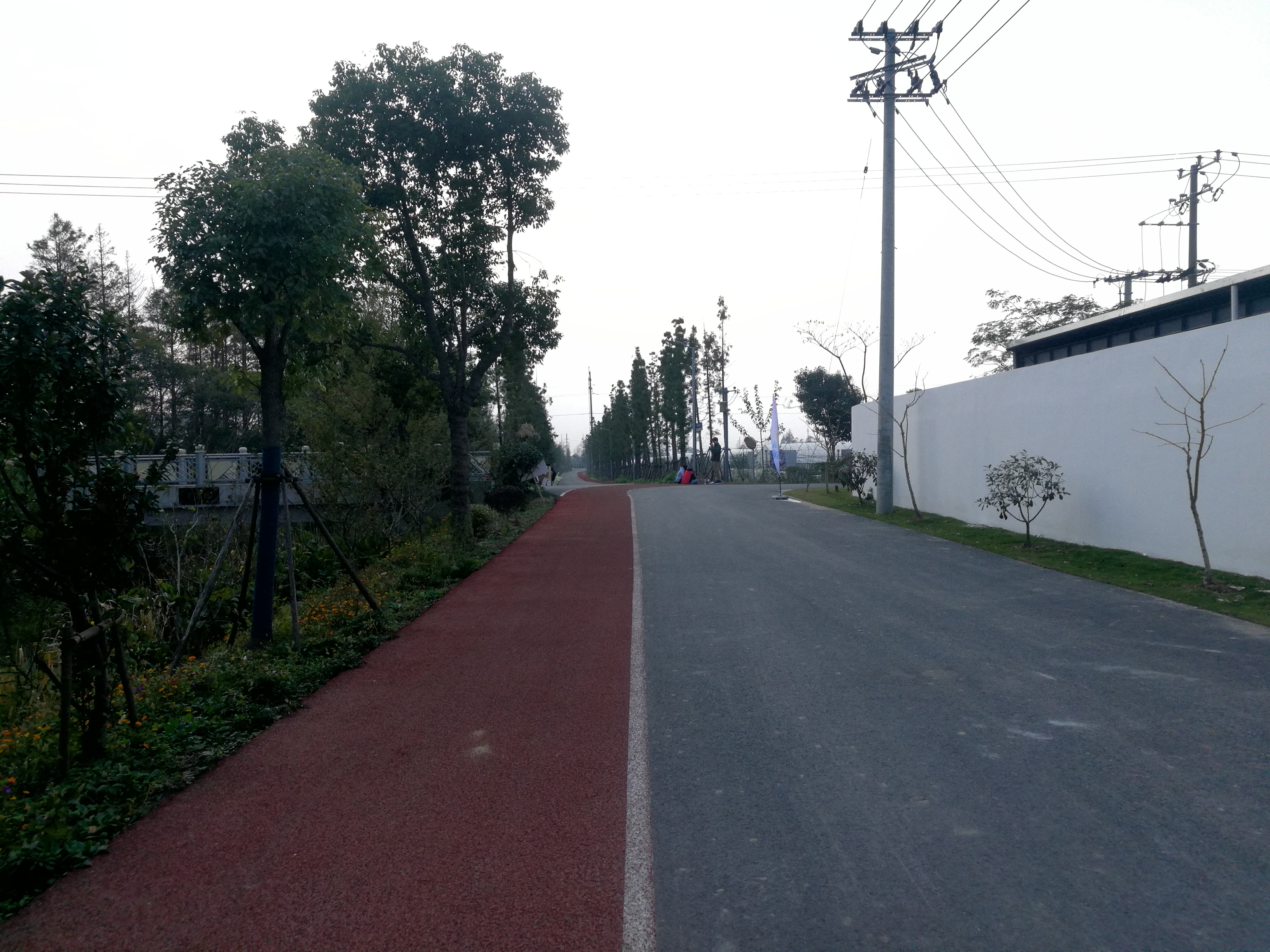 上海崇明岛郊野公园扩建工作,崇明长兴岛公园规划