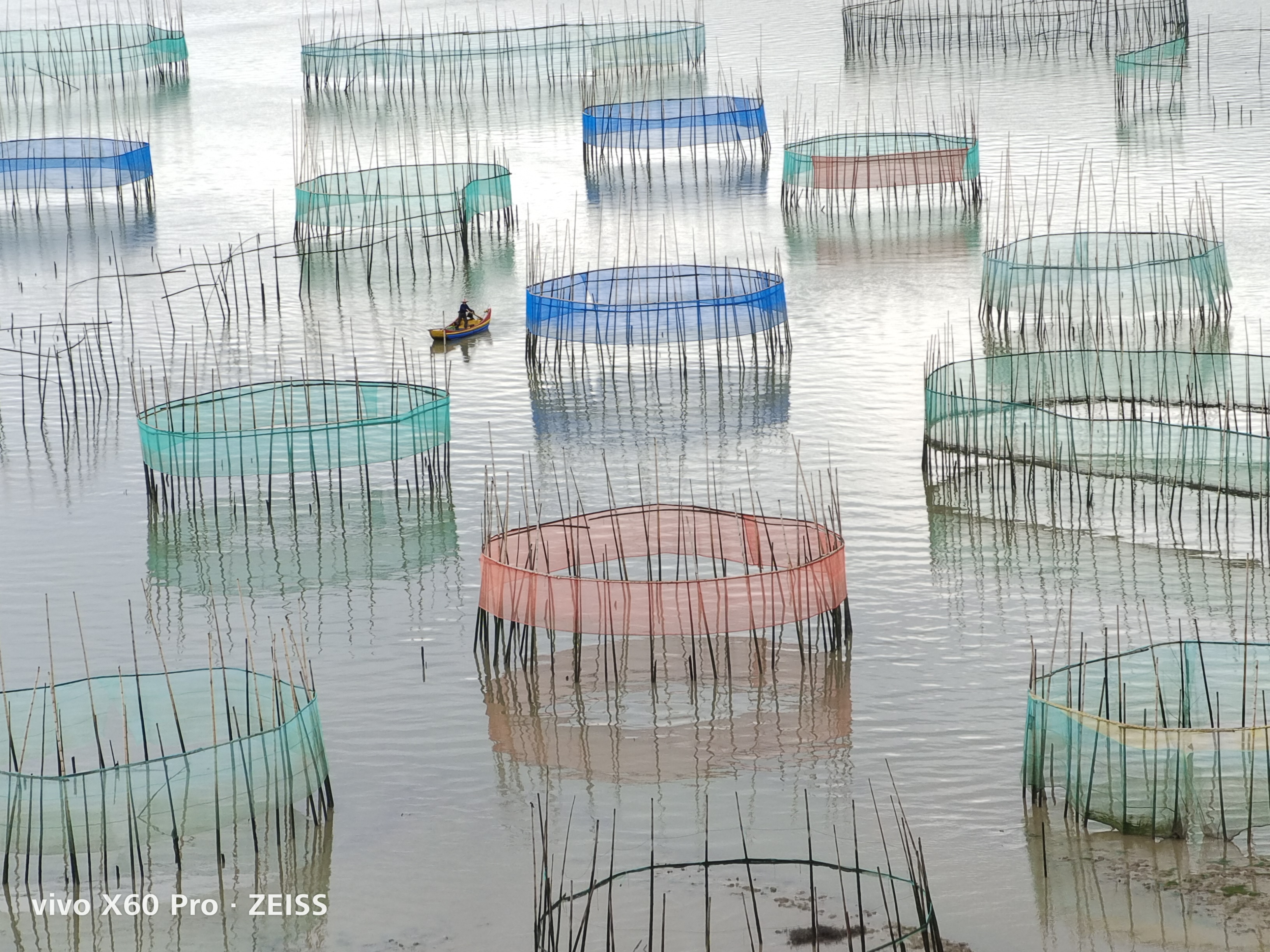 vivox60pro一个月感受,vivox60pro用了一个月真实感受