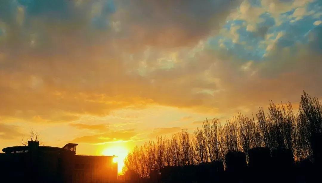 辽宁省普通高等院校,辽宁省沈阳本科大学