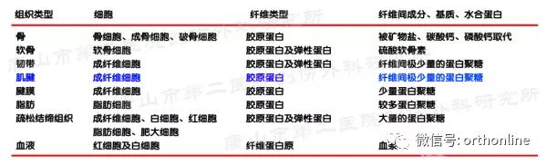 手部肌腱不完全断裂能完全复原吗,手部屈指肌腱损伤最难处理的部位