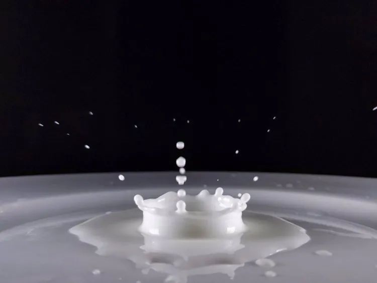 零基础学摄影从入门到精通100集,摄影入门从哪里学起比较好