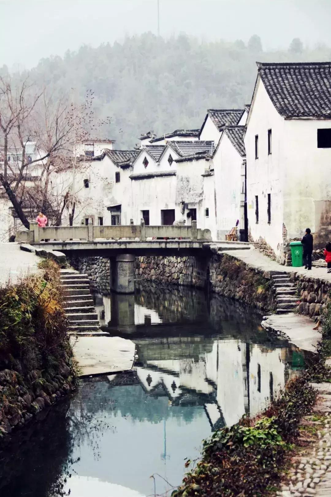 最美银杏秋景自驾攻略,杭州银杏树旅游攻略