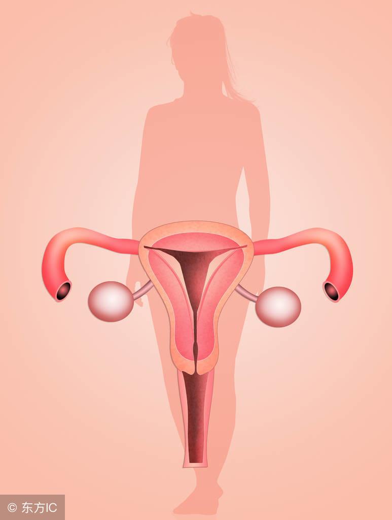 子宫癌病人如何护理,子宫癌如何自我疗养