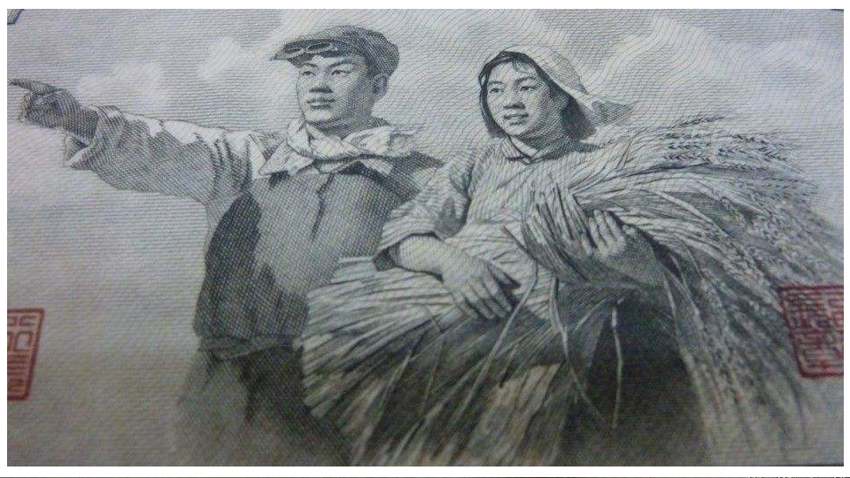 大黑拾怎么辨别真伪视频,大黑拾是什么特征