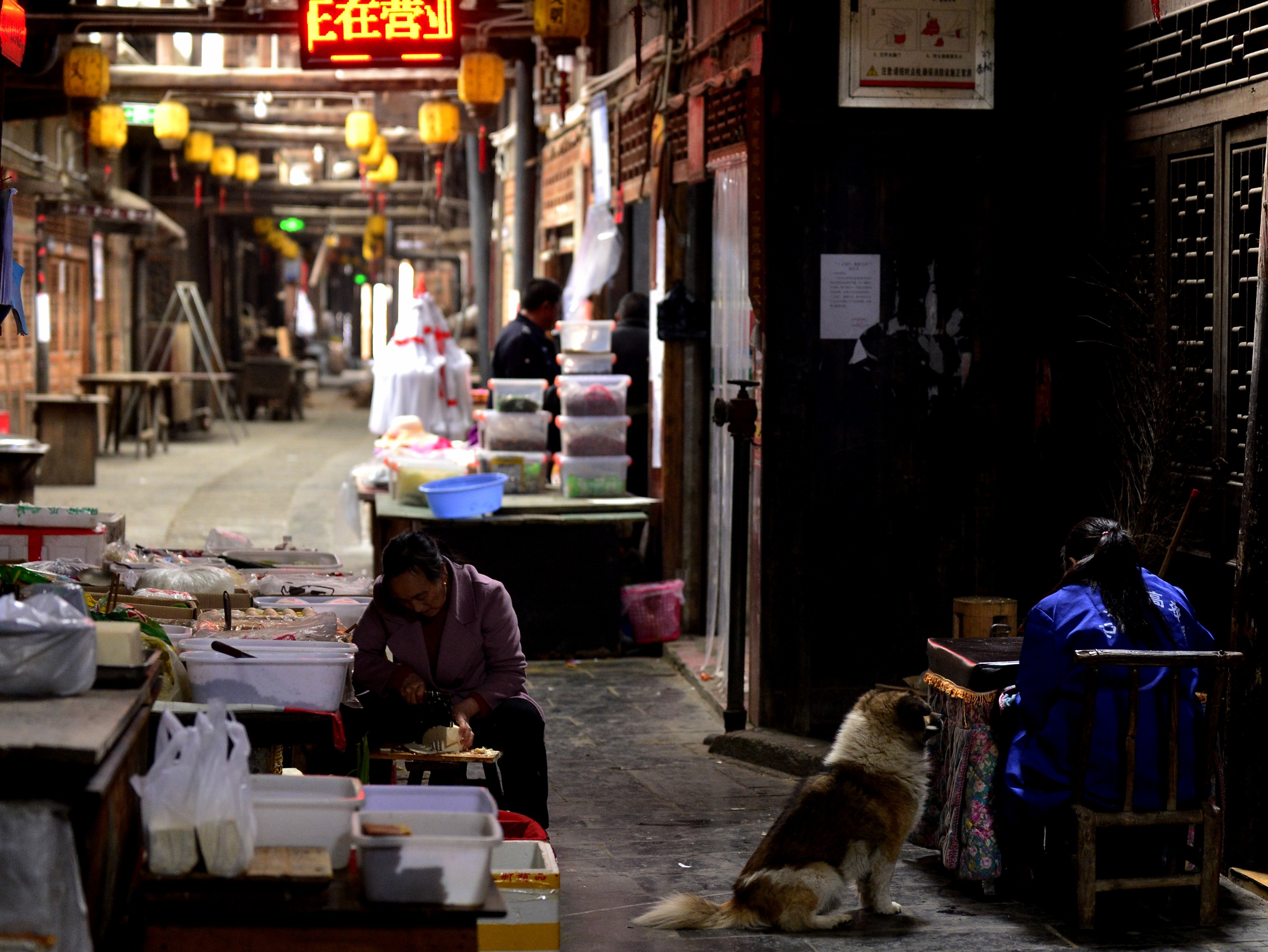 庆阳活化石叫啥,庆阳坝历史
