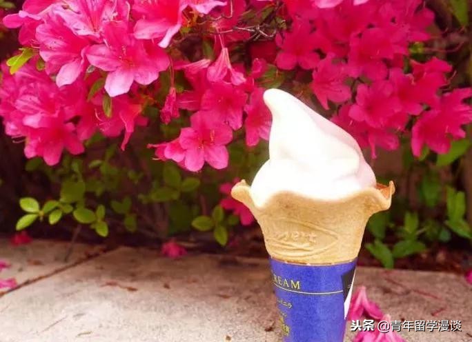 日本留学711便利店,日本留学便利店工作内容