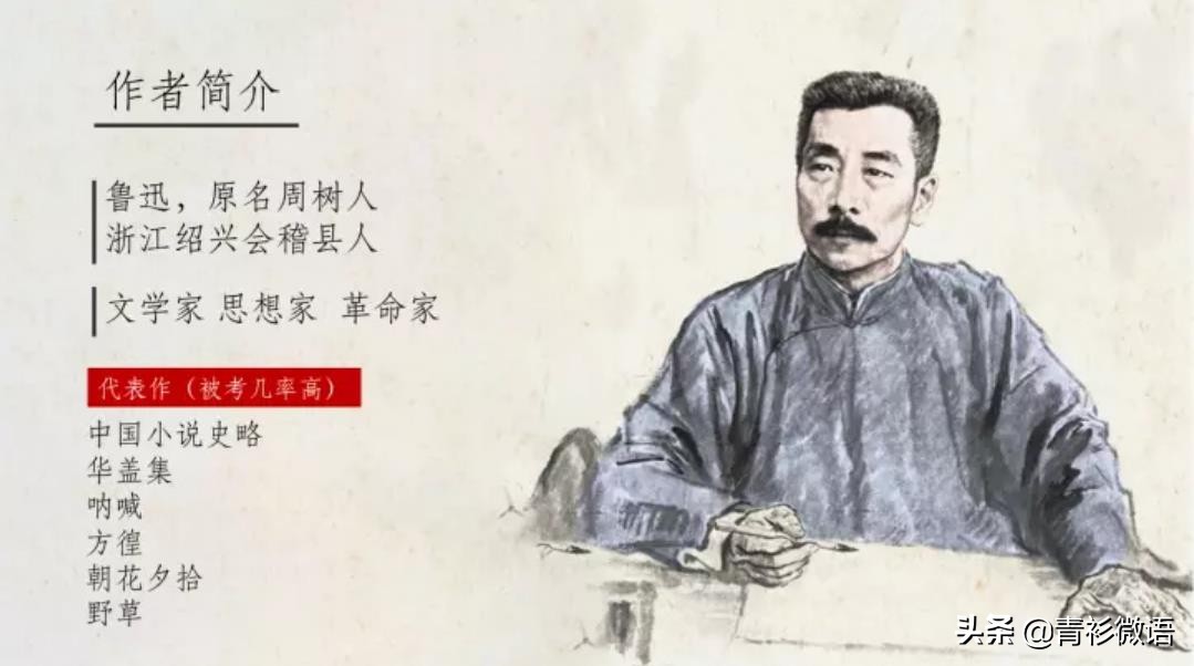 名著导读朝花夕拾消除经典的隔阂,朝花夕拾名著解读一点通