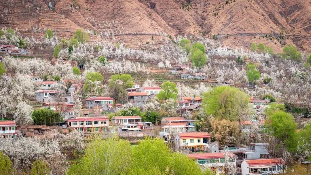 疫情过后我要来一场旅行,疫情过后不要忘记好好生活