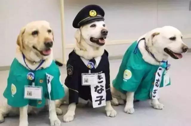 出国旅游怎样避免被遣返,在国外被遣返的需要自费么