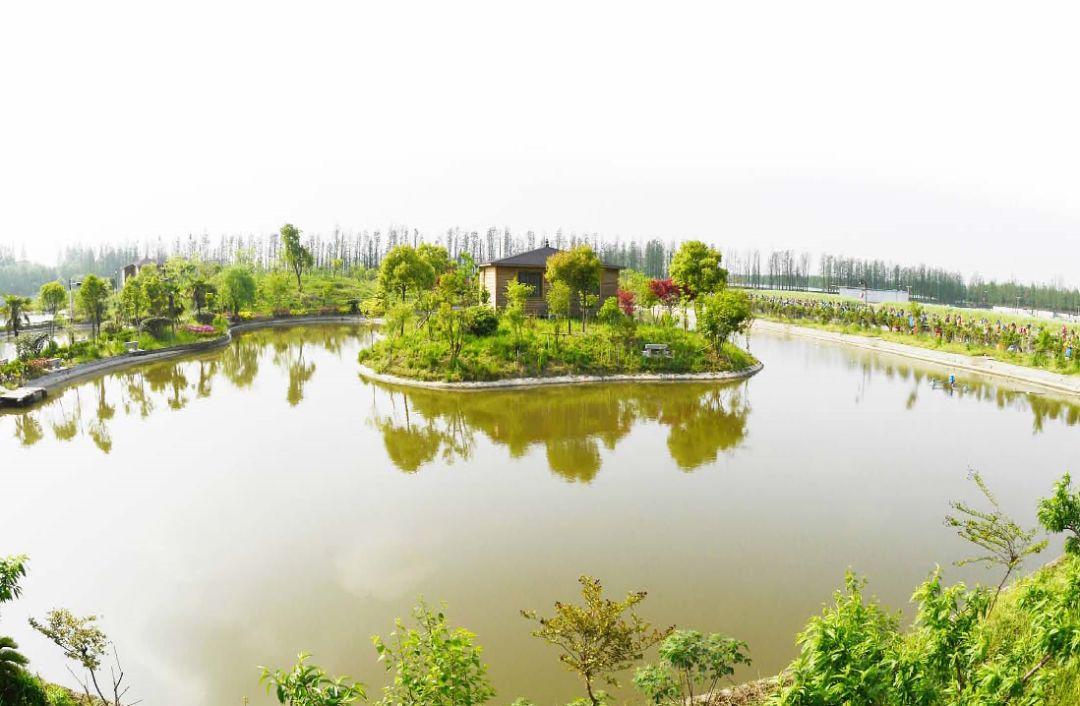 致敬最美逆行者活动效果,致敬各类最美逆行者