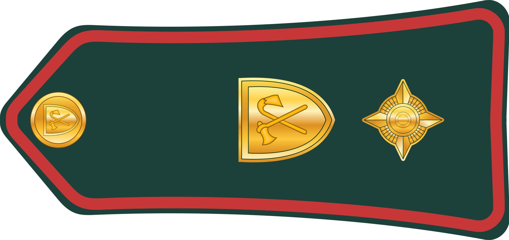 西亚各国军衔,各国军衔标识坦桑尼亚