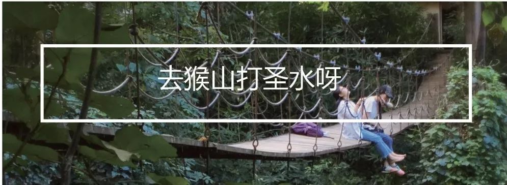 去西双版纳旅居攻略,西双版纳旅居详细攻略