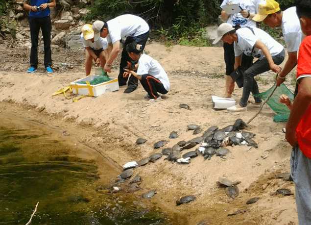 南宁钓友钓了只墨龟,背上刻了“宁莉陈”三个字,钓友:想养起来