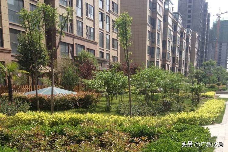 广州楼市黄埔现在能入手吗,老黄埔哪个板块最值得投资