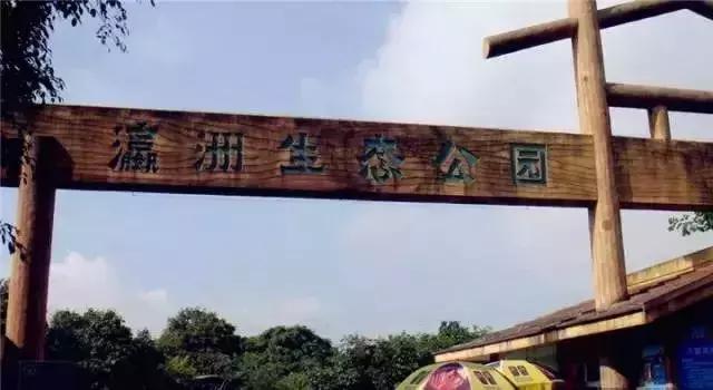 广州地铁旅游打卡攻略,广州适合春游的免费景点