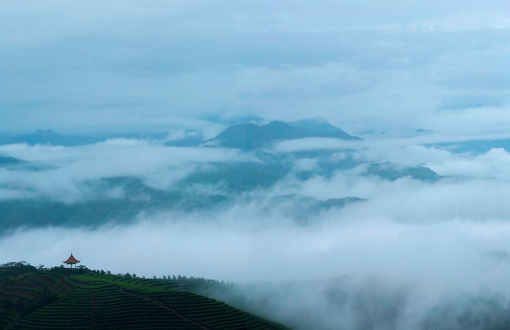 宁波最隐藏的海岛,被浙江人私藏的江南小城