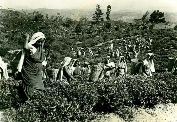 100年坑蒙拐骗，英国怎么抢走了大清的商业王座