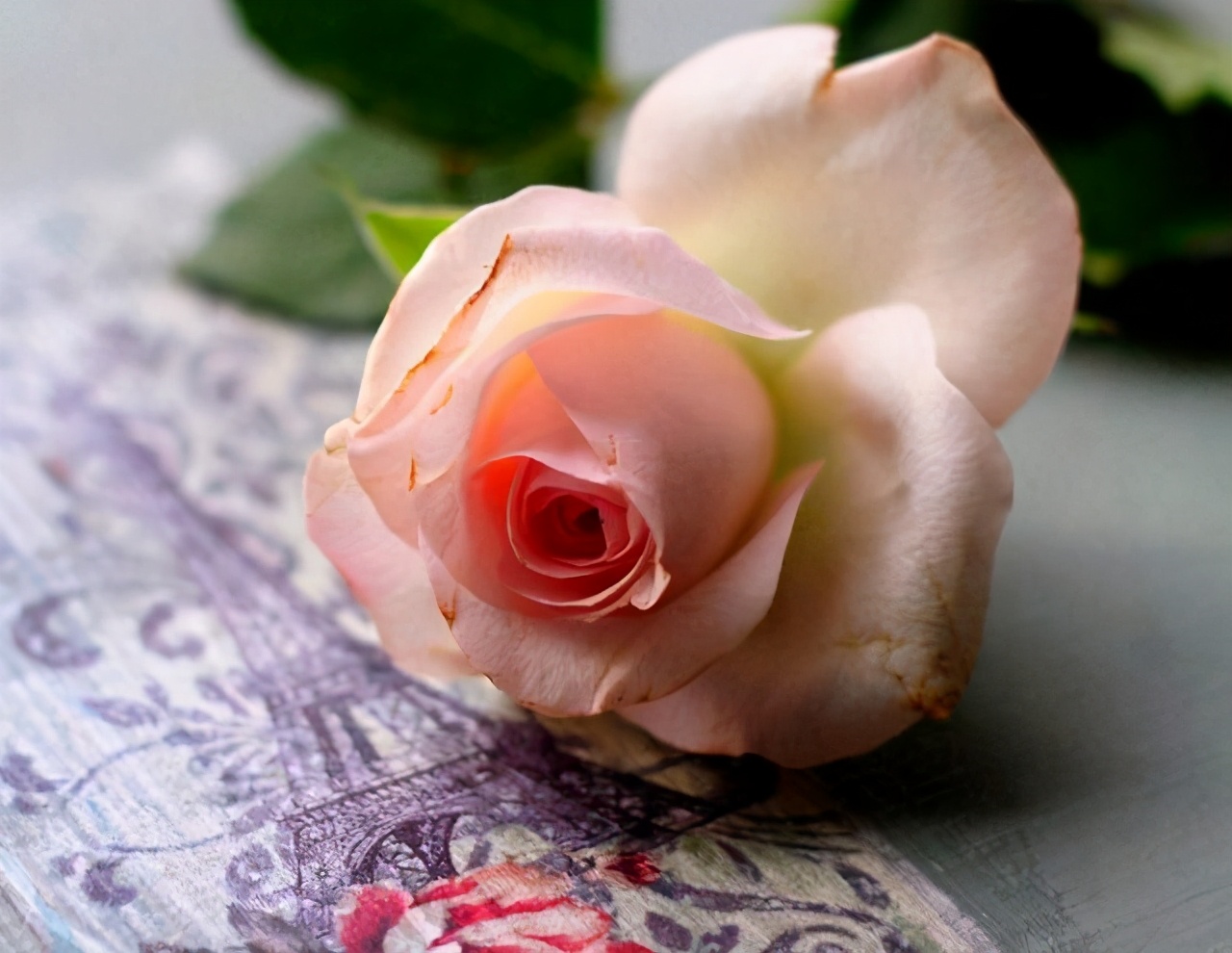 同居过女人心态是怎样的,不要对离过婚的女人有偏见