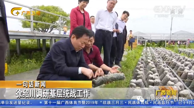 过去的一周你都经历了什么,过去的一年你错过了哪些大瓜